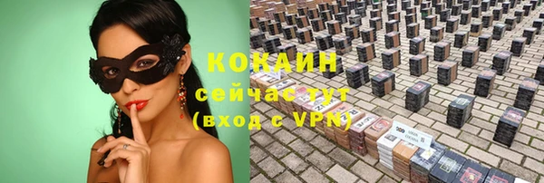 прущие грибы Лихославль