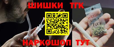 крисы Моздок