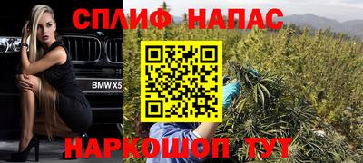 прущие грибы Малгобек