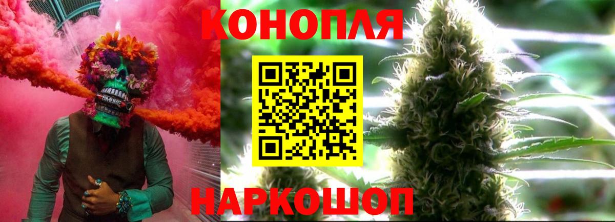 Канабис Bruce Banner  Сосновый Бор  Шишки марихуана планчик 